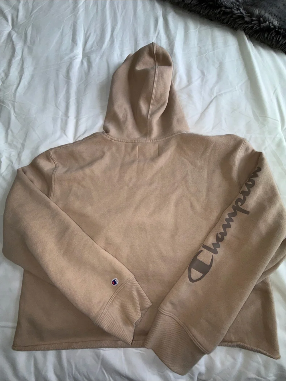 Champion Beige Cropped Logo Hoodie - Neutral Tan Pullover - Picture 2 of 3